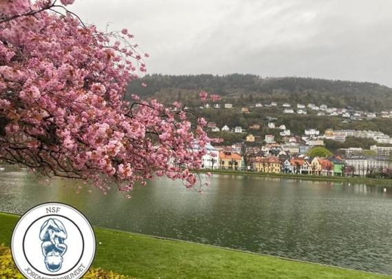 Bilde av Bergen