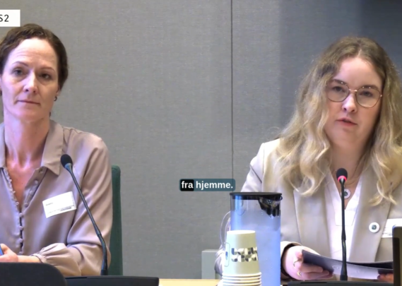 Henriette Karlsen Brenna på høring i Utdanning- og forskningskomiteen