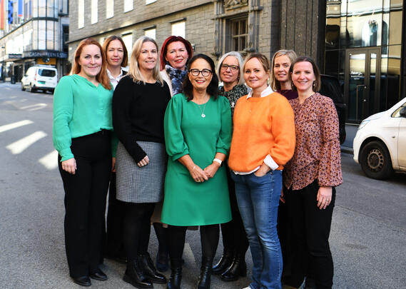 Landsstyre Helsesykepleierne NSF 2025-2027