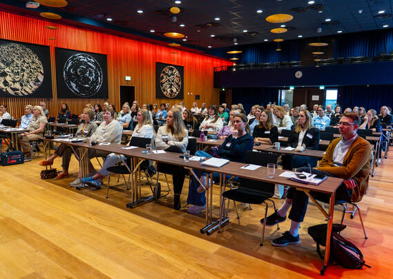 Øyesykepleiekonferansen 2025