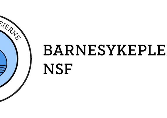 Logo Barnesykepleierne NSF