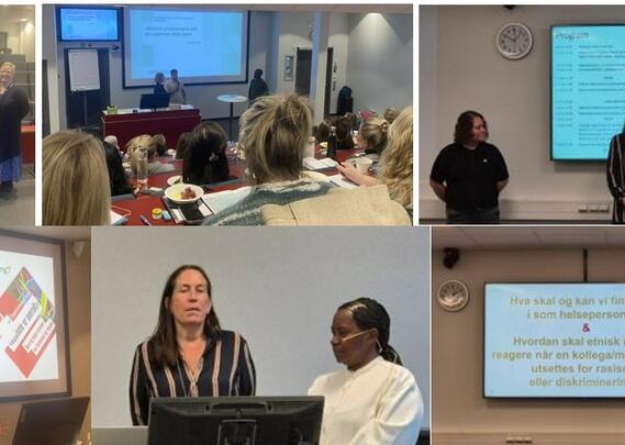 Diverse bilder fra fagdager i Innlandet