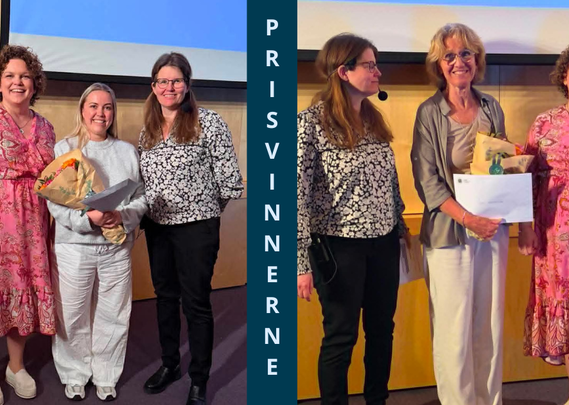 Årets prisvinnere