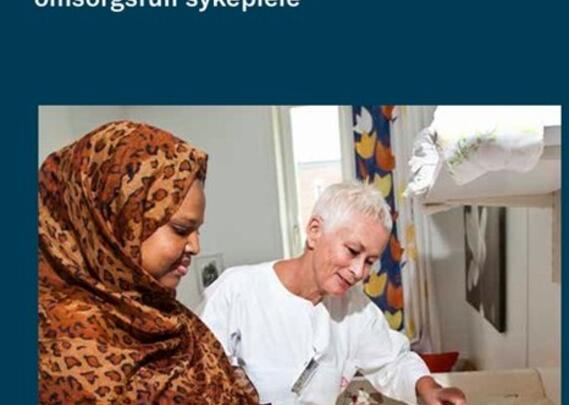 Faglig forsvarlighet