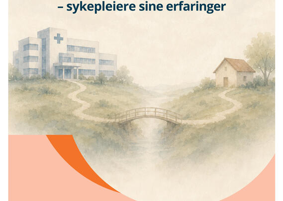 Forside rapport
