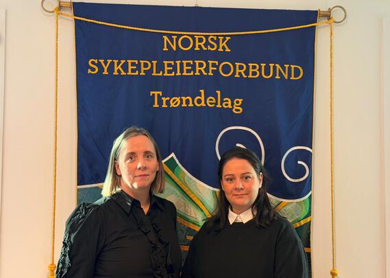 Konstituert fylkesledelse i Trøndelag.