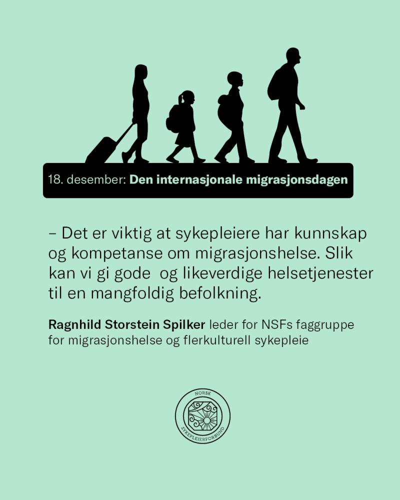 International Migrant Day 2022 NSF