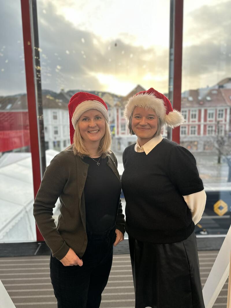 Fylkesledelsen Akershus - Sykepleierkongressen 2025