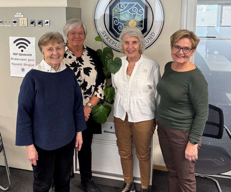 Seniorsykepleierne - styret