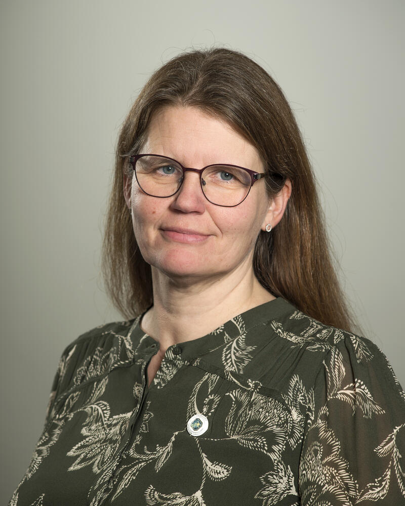 Aina Slettom