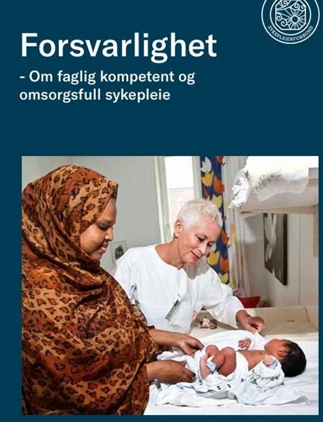 Faglig forsvarlighet