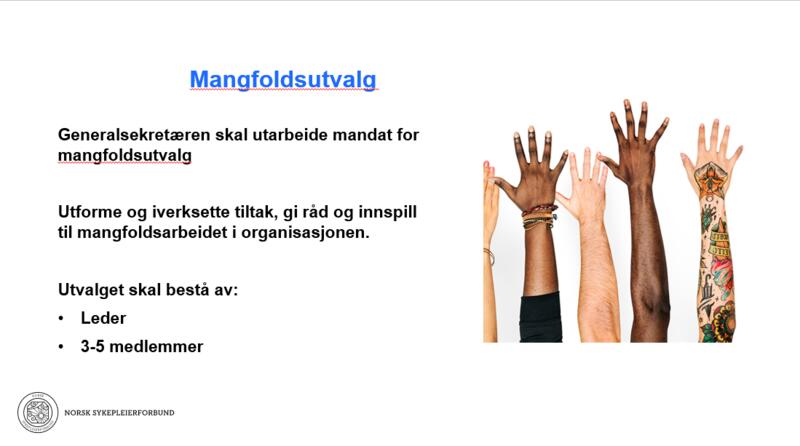 Kopi av slide om Norsk sykepleierforbunds mangfoldsutvalg