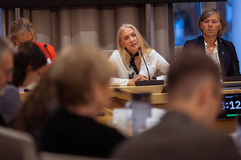 Oslo 20260928 – Høring Helsepersonellplan2040. Lill Sverresdatter Larsen