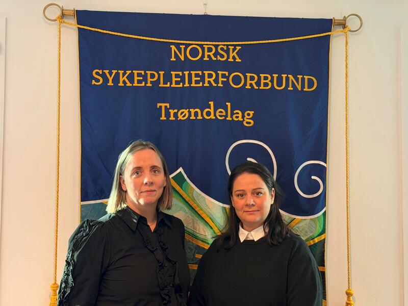 Konstituert fylkesledelse i Trøndelag.
