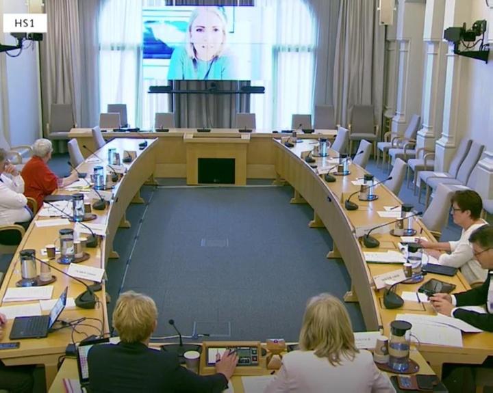 Lill Sverresdatter Larsen snakker på dagens høring i kommunal- og forvaltningskomiteen