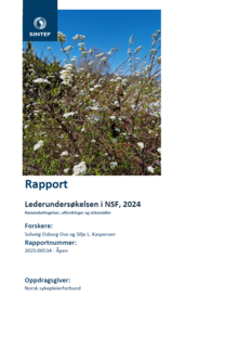 SINTEF 2025 Lederundersøkelsen forside